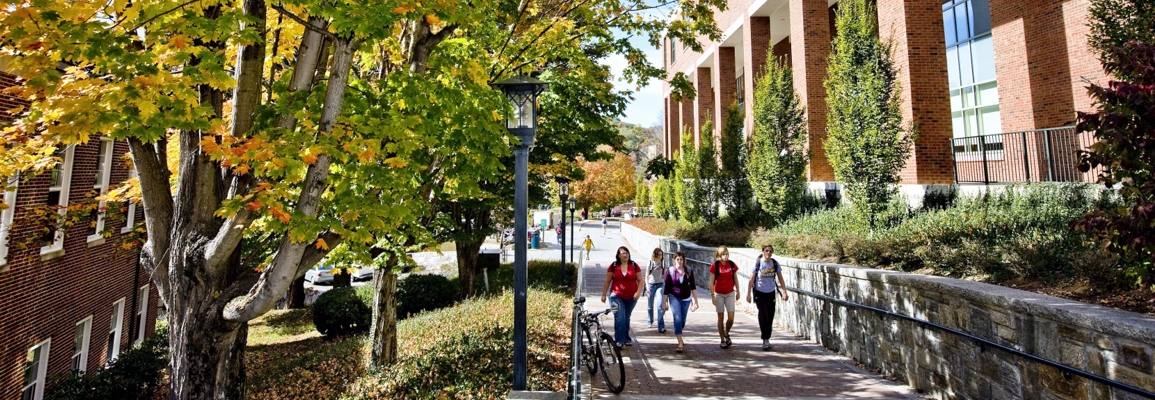 students walking by the library in fall