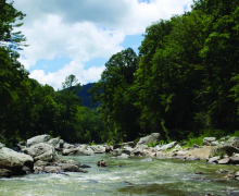 People enjoying Guy Ford River in Sugar Grove on July 26, 10 months after Hurricane Helene hit the area. Photo by Emma Green