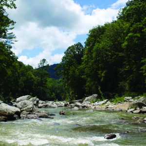 People enjoying Guy Ford River in Sugar Grove on July 26, 10 months after Hurricane Helene hit the area. Photo by Emma Green People enjoying Guy Ford River in Sugar Grove on July 26, 10 months after Hurricane Helene hit the area. Photo by Emma Green
