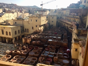 tanneries in Fes